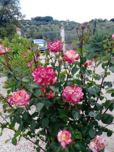 Cortijo Rural Buenavista Montefrio