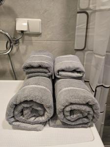 Old town study apartament