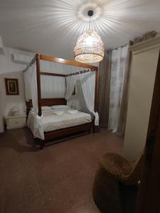 beblungomareolbia img7