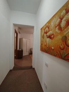 beblungomareolbia img12