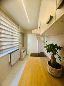 Modern and cozy studio