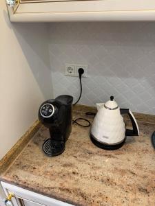 Classic Style Apartment