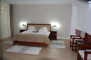 One-Bedroom Suite room in Hotel Nemira