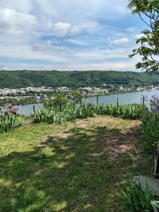 Maisons de vacances Gite vue sur le Rhone : photos des chambres