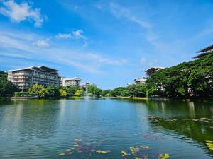 1BR at Jacana B Pico de Loro