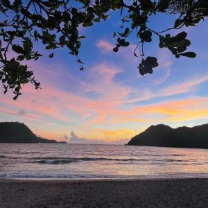 1BR at Jacana B Pico de Loro