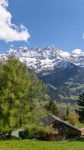 Chalet Plalessu - Latitude Champéry
