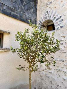 B&B / Chambres d'hotes Voila Le Logat - Chambres & Gites : photos des chambres