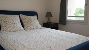 Villas Domaine du Piol - Luberon - Piscine privee - Clim - Beach Volley : photos des chambres