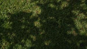 Villas Domaine du Piol - Luberon - Piscine privee - Clim - Beach Volley : photos des chambres