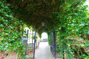 Alte Liebe - 9