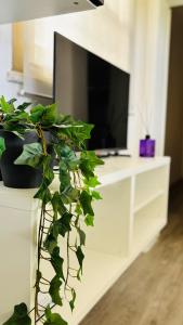 TRILOCALE Riccione in vacanza!