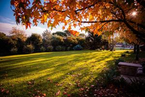 Amanecer en las Piedras