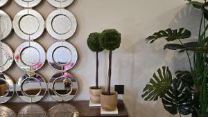 Opening Doors Summer Chic