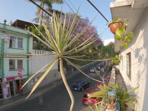 Depto CENTRO Parque Juarez