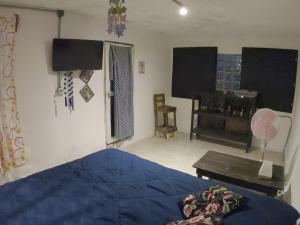 Depto CENTRO Parque Juarez