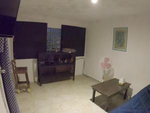 Depto CENTRO Parque Juarez