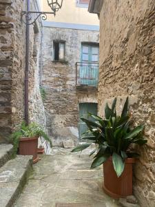 Castellabate Apartments Casa dellArco