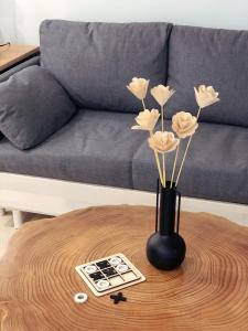 Coco, Elegance and Serenity in Collioure