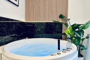 Appartements La Suite H : photos des chambres