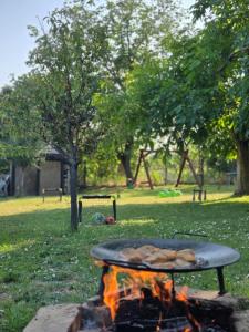 Vikendica Aleksandar