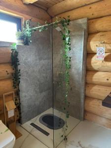 Chalet in Muntii Vrancei - Gresu - Lepsa cu Ciubar si Sauna