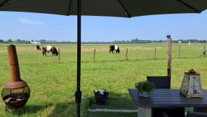 Glamping tent met privé sanitair