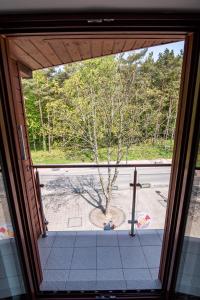 "Ku Słońcu" - Jastrzębia Góra No.17