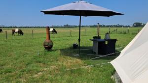 Glamping tent met privé sanitair