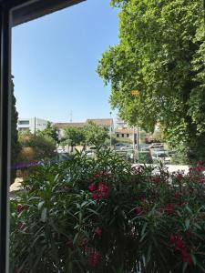 Appartements Studio MBS 2- Cosy, Tramway, Wifi, Parking, Equipe : Appartement 1 Chambre