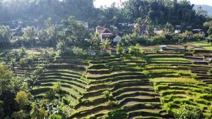 GJ Guest House Sidemen