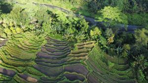 GJ Guest House Sidemen