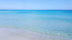 S1 meublé kelibia la Blanche