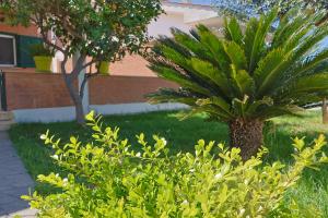 Villa Lella - Pantheon basement apartment, shared swimming pool 5 minutes from the sea, suitable for families or groups for complete relaxation