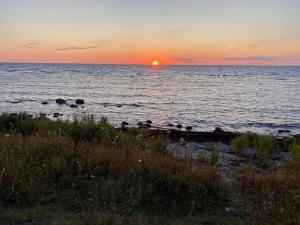 Nybyggt litet stenhus nära havet i Brissund