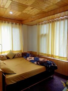 The Pine Pause-Hallan-i