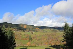 Appartements Gite Les Jonquilles IV : photos des chambres