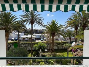 Apartment Palm Tree View