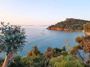 B&B / Chambres d'hotes Villa Hirondelles 35 : photos des chambres