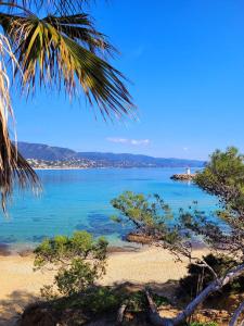 B&B / Chambres d'hotes Villa Hirondelles 35 : photos des chambres