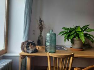 B&B / Chambres d'hotes CASA-Salon Bella Ciao Suite pour 5 personnes : photos des chambres