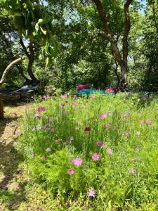 Sejours a la campagne Lovely stay in provence : photos des chambres