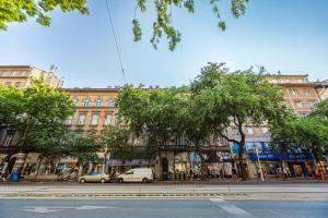 Elizabeth Boulevard Serenity