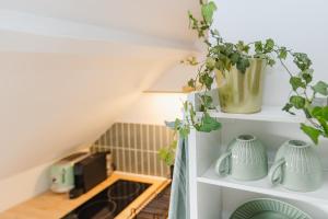 Appartements Le Petit Guehenno - A quelques pas du centre-ville : photos des chambres