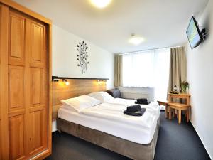 Deluxe Double or Twin Room room in Resort Luna Vysočina