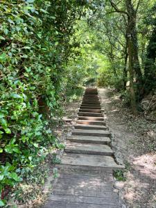 Sejours a la campagne Lovely stay in provence : photos des chambres
