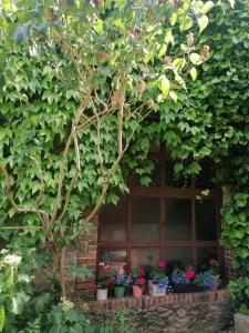 2 chambres 4pers à 13km Du Puy dufou