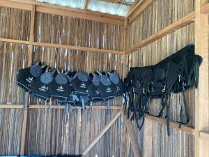 Oeseli Beach Bungalow