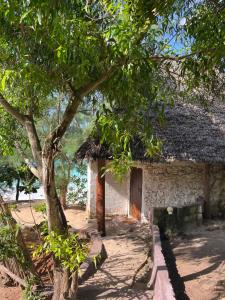 Sazani Beach Lodge and Tidal Lounge