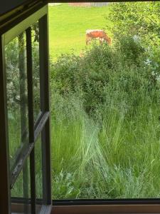 Lisls & Gretls Alpen Chalet - 10 Min zur Piste